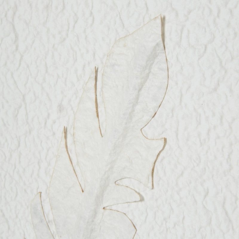 Solli White Feathers Art Mounted In Beaded Frame