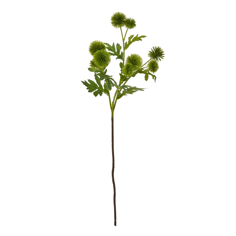 Green Globe Thistle Spray